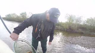 Kirkbride Beatties 15lb salmon off the CAA [upl. by Yemar]