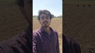 chorbazar se laye hue stand ko toddiya minivlog viralvlogs souravjoshivlogs shortsfeed cricket [upl. by Rraval]