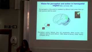 Monika Harvey  ‘Dual Route models of visual processing’ [upl. by Tenney975]