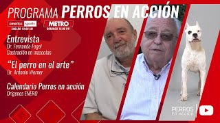 “Perros en acción” Programa Nº 494 [upl. by Ixel]