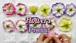 How to Press Flowers [upl. by Eimaral]