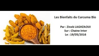 Les bienfaits du Curcuma Bio [upl. by Bull]