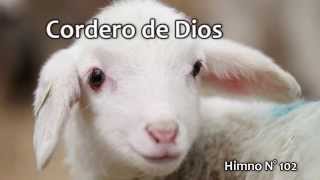 Cordero de Dios Himno N° 102 [upl. by Blaze]