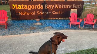 Matagorda Bay Nature Park [upl. by Eeluj]