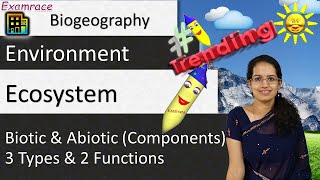 Ecosystem  Biotic amp Abiotic Components 3 Types amp 2 Functions Part 1 of 4 [upl. by Resa922]