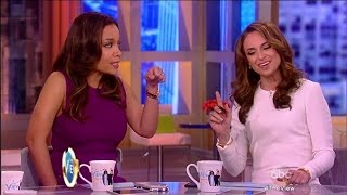 Jedediah Bila Schools The View on Hillary Clintons Recklessness with Email [upl. by Eednarb114]