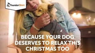 Help your dog stay calm with Christmas visitors because they deserve to relax too [upl. by Syla]