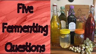 5 Fermenting Questions [upl. by Anaujal]