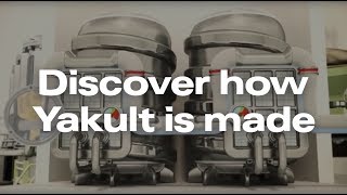 Yakult  How It’s Made [upl. by Melosa62]