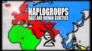 What are Haplogroups Human Genetics Explained [upl. by Fairleigh]