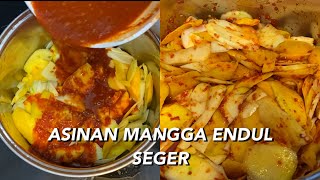 Asinan Mangga Dijamin bikin ngilerr [upl. by Guendolen583]