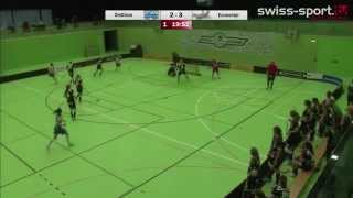 150404 UHC Dietlikon vs Skorpions Emmental Zollbrück Playoff Halbfinals Spiel 3 Highlights [upl. by Sregor82]