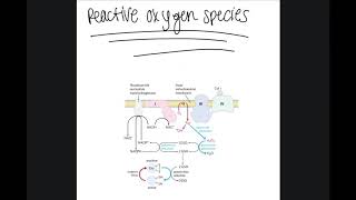 Reactive Oxygen Species [upl. by Denae]