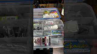 Drop Shot Terminal Tackle Box Organization bassfishing shorts youtubeshorts dropshot [upl. by Arayc994]