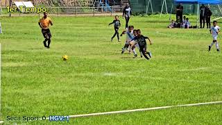 Estadal 2024  Fase copa Oro  HGV vs Seca Sport [upl. by Hazem]