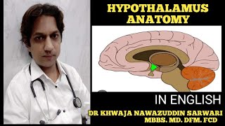 Hypothalamus  In English  Anatomy  Physiologyhypothalamus mbbsinhindi cns Doctors Corner [upl. by Nnyltiak569]