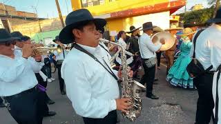 A donde vayas iré  Banda Juvenil del Peñón de los Baños [upl. by Kylynn]