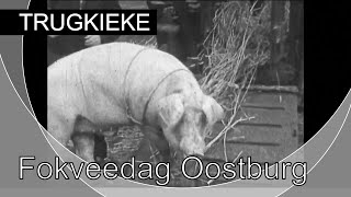 TRUGKIEKE  Fokveedag Oostburg 1935 [upl. by Nodnerb]