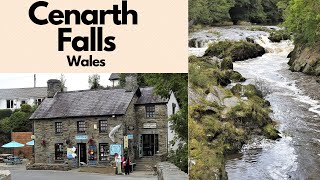 Exploring The Breathtaking Beauty Of Cenarth Falls In Wales [upl. by Arocat772]