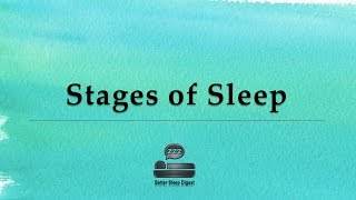 Stages of Sleep  Sleep Cycles [upl. by Ikuy809]