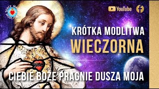 KRĂ“TKA MODLITWA WIECZORNA DO BOGA â­ď¸Źđź™Źâ­ď¸Ź CIEBIE BOĹ»E PRAGNIE DUSZA MOJA [upl. by Sidky380]