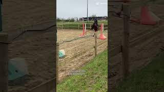 horse chevalpassion equestrian chevaux cheval equitation hors jumping [upl. by Anived]