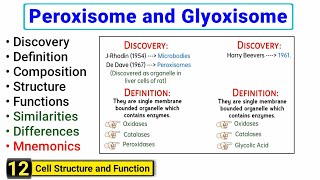 Peroxisomes and Glyoxisomes  Similarities and Differences  Structure and Function [upl. by Tat]