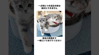 猫の取扱説明書でごわす🤣 猫 [upl. by Yenffad]