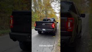 Ford F150 Tremor 35 Ecoboost with RCP Exhausts custom catback [upl. by Enneyehs]