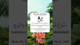 Dua for the Ruku 💛 [upl. by Marlon24]