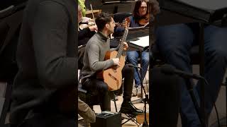 Rodrigo Concierto de Aranjuez Withmilosguitarist [upl. by Caresse]