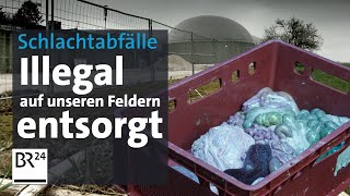 Kontrollversagen Schlachtabfälle auf bayerischen Feldern  Die Story  Kontrovers  BR24 [upl. by Etnohc]