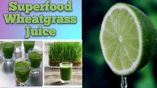 How to make Wheatgrass juice at home Wheatgrass juice benefits [upl. by Emmery]