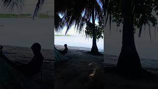 BEACH CAMPING SITEhighlights views beachvibes noisy friendship [upl. by Aliam362]