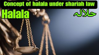 Concept of halala under shariah law  what is value of halala in Islam [upl. by Reeve]