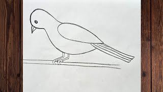 bird drawing simplehow to draw a bird easy [upl. by Dougie]