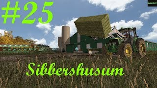 LP25 Sibbershusum  LS17 Etwas entspannter heute [upl. by Attenweiler]