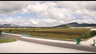 Proceso de exportación del vino [upl. by Lenahc]