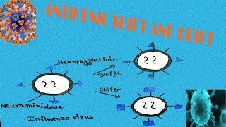 ANTIGENIC DRIFT AND ANTIGENIC SHIFT IN INFLUENZA VIRUS [upl. by June]