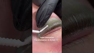 Watch Lash Lamination Transformations at Lash Boutique 🌊✨ capecodlife plymouthrock lashes [upl. by Snebur110]