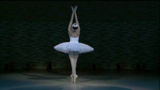 Uliana Lopatkina  Dying swan [upl. by Lavona154]