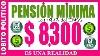 607💜PENSIÒN MÌNIMA GARANTIZADA IMSS LEY 1973 😃👍💲✅ méxico pension imss [upl. by Alan289]