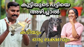 പട്ടി കടിച്ചാൽ ഒരു ലക്ഷം പോകും Dog challenge leash talks [upl. by Aihcela]