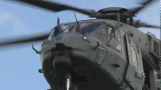 A109 and NH90 helicopters display at Ohakea Airshow [upl. by Kelsey]