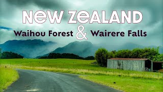 Driving to Waihou Forest And Wairere Falls from Matamata  New Zealand [upl. by Otsirc]