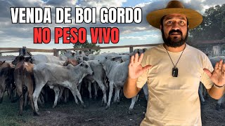 Venda de Boi Gordo para Atravessador  Como Funciona [upl. by Maxima]