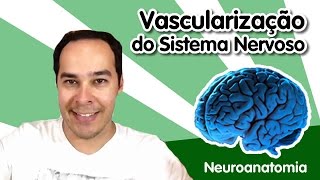 Neuroanatomia 11  Vascularização do Sistema Nervoso [upl. by Duky]