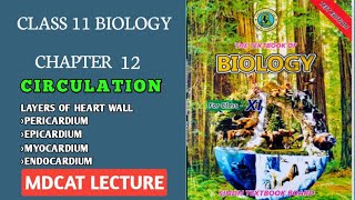 LAYERS OF HEART WALL  PERICARDIUM  CLASS 11 NEW BIOLOGY SINDH amp FEDERAL MDCAT LECTURE [upl. by Mckee]