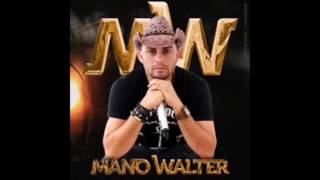 Mano Walter Agora Vai Ser Pra Valer [upl. by Sinaj119]