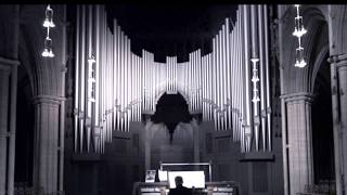 Nils Henrik Asheim Improvisation on the Steinmeyer organ Trondheim [upl. by Radman]